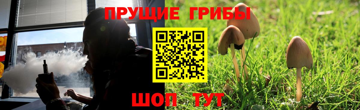 Галлюциногенные грибы MAGIC MUSHROOMS  Псилоцибиновые грибы Cubensis  Вход с VPN  Луга 